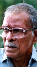 എൻ എൻ പിള്ള